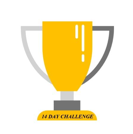 14 day challenge