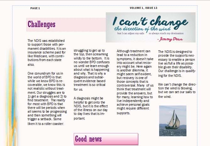 Issue 13 Main article